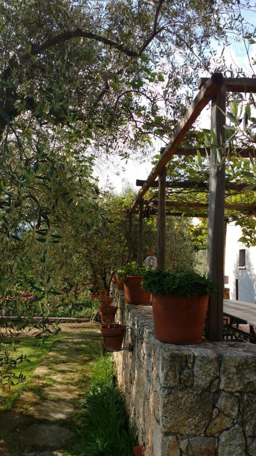 La Vie Est Belle Bed and Breakfast Finale Ligure Eksteriør billede
