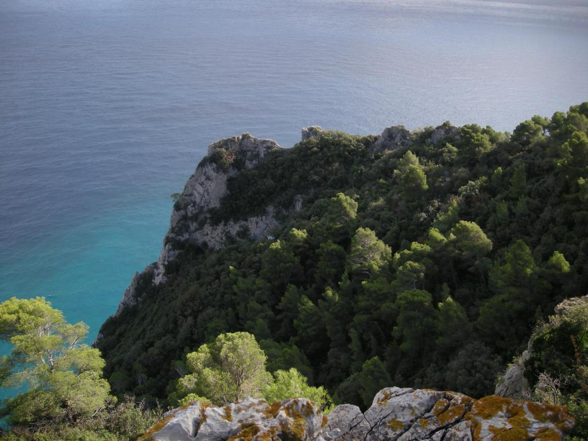 La Vie Est Belle Bed and Breakfast Finale Ligure Eksteriør billede