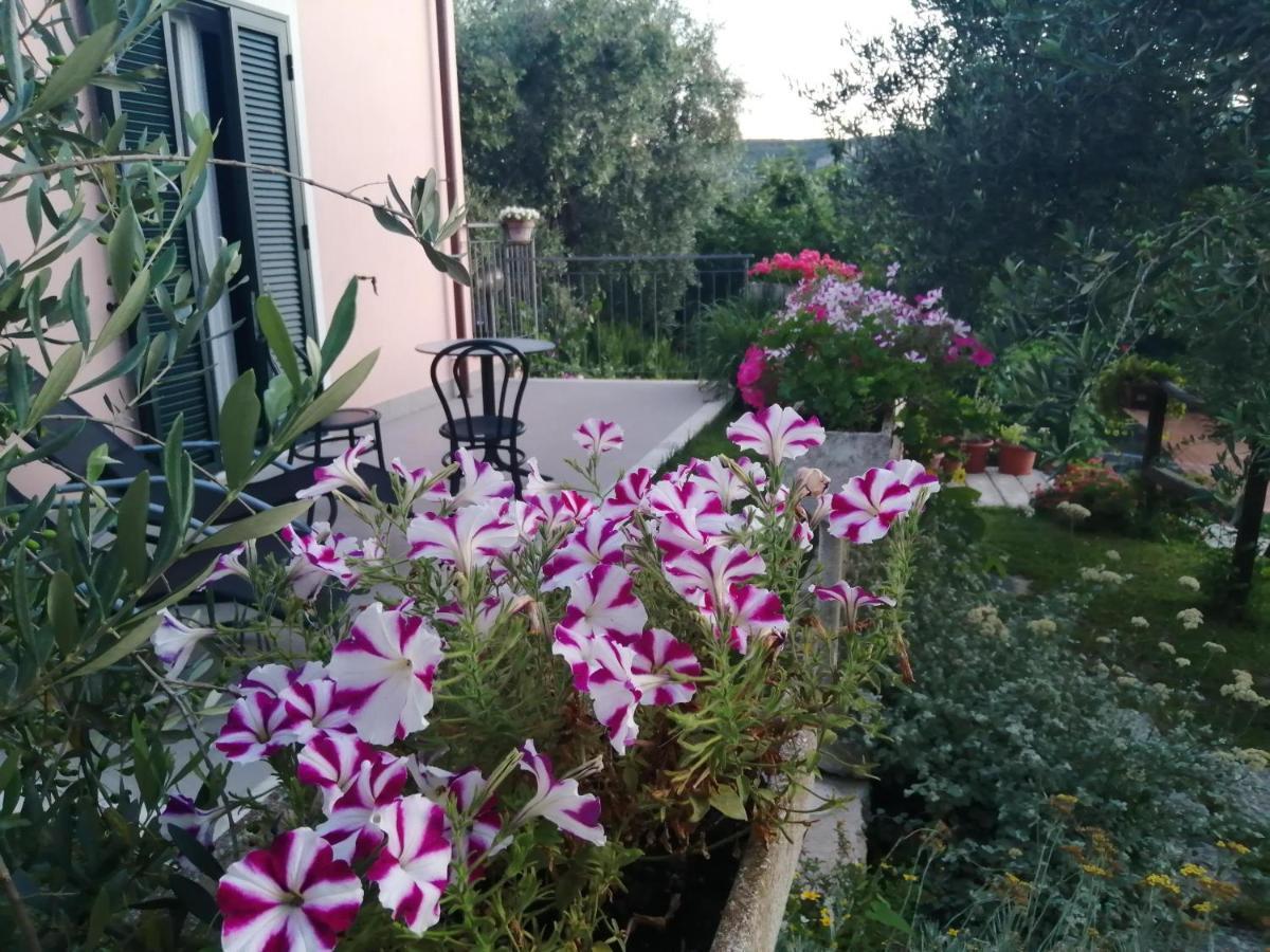 La Vie Est Belle Bed and Breakfast Finale Ligure Eksteriør billede